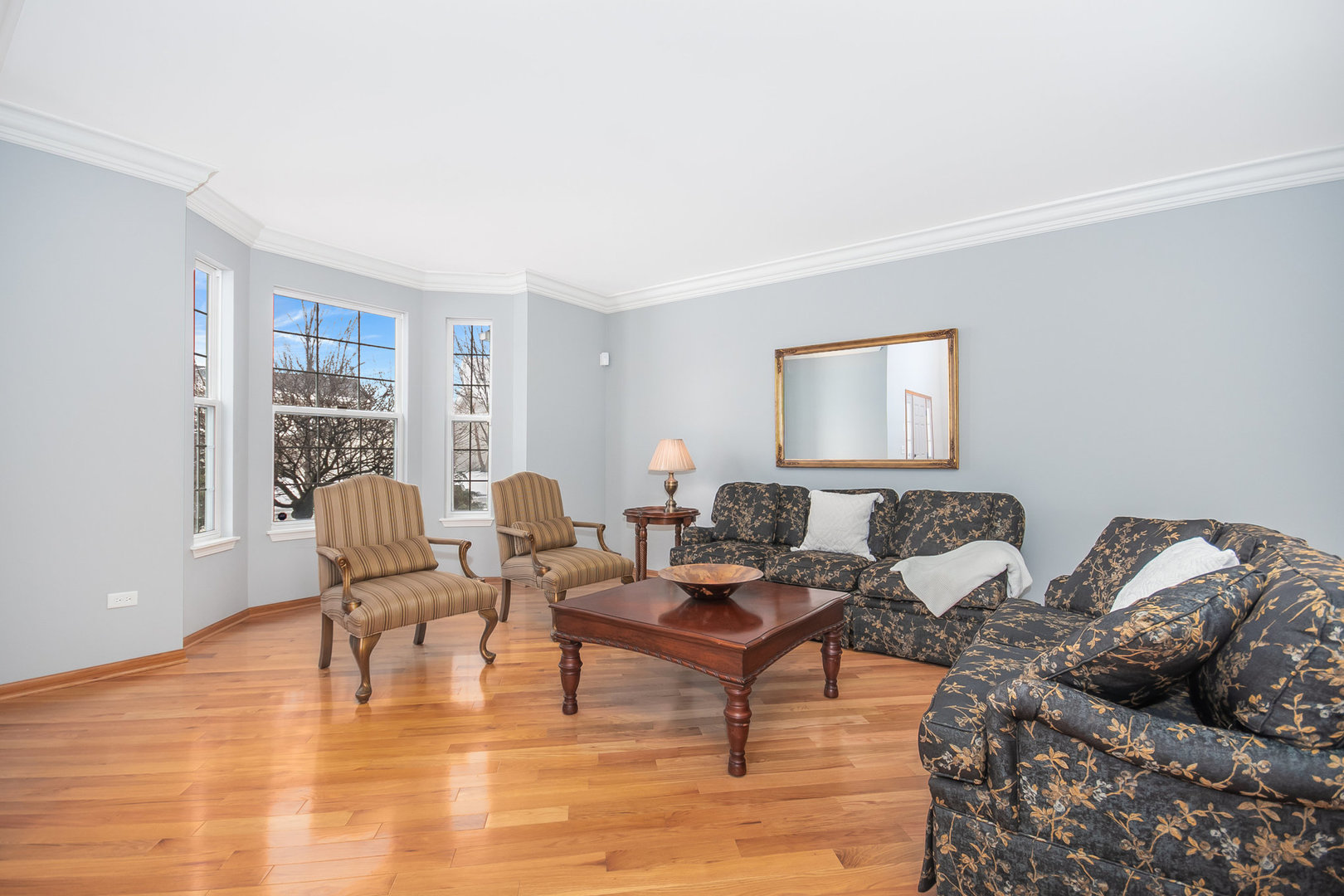 712 Eagle Brook Lane Naperville, IL 60565 - Photo 8 of 40 a living room with furniture and a wooden floor