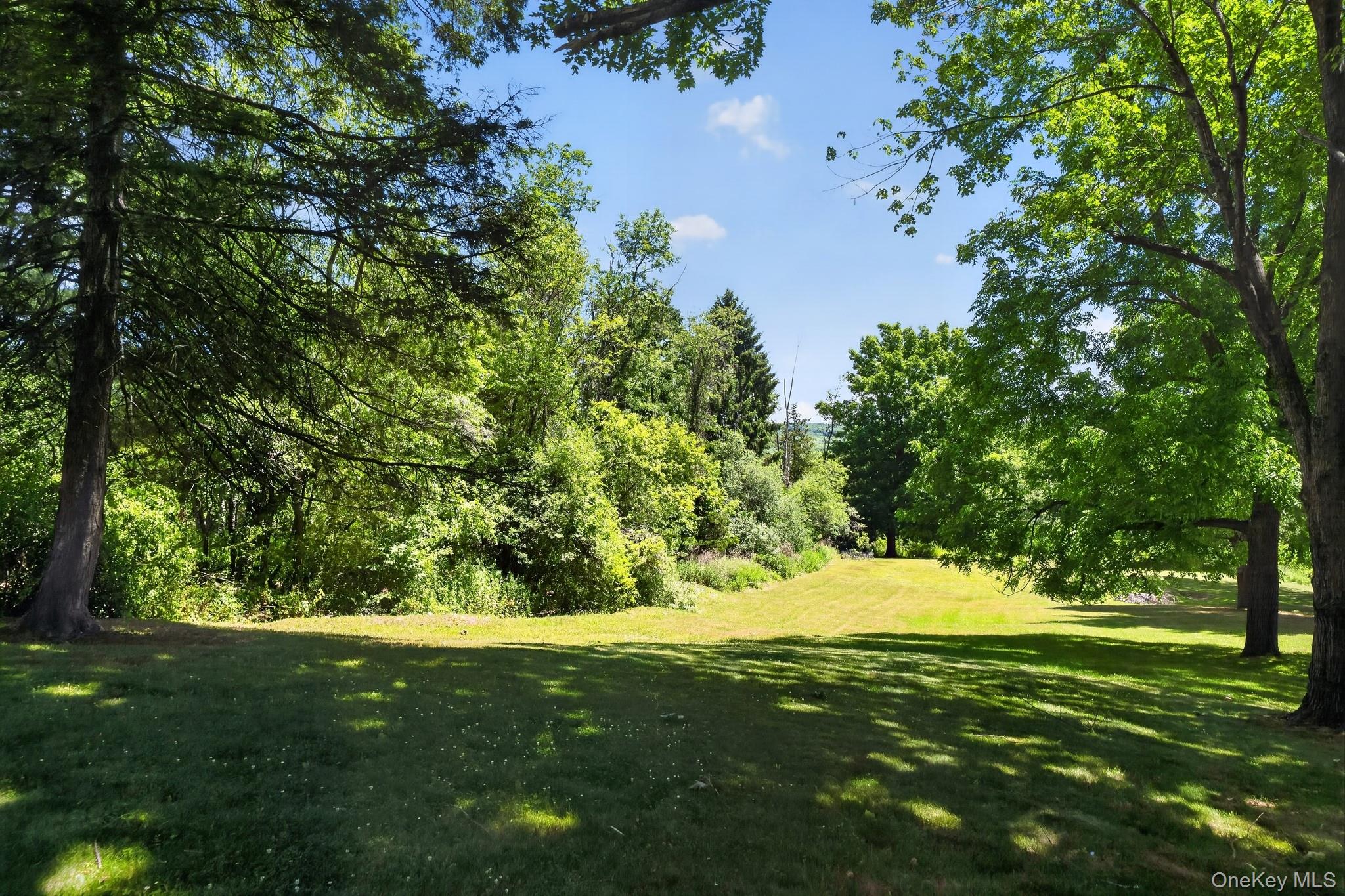 424 Laroe Road Chester, NY 10918 - Photo 25 of 43 Expansive grassy area surrounded by mature trees and natural landscaping