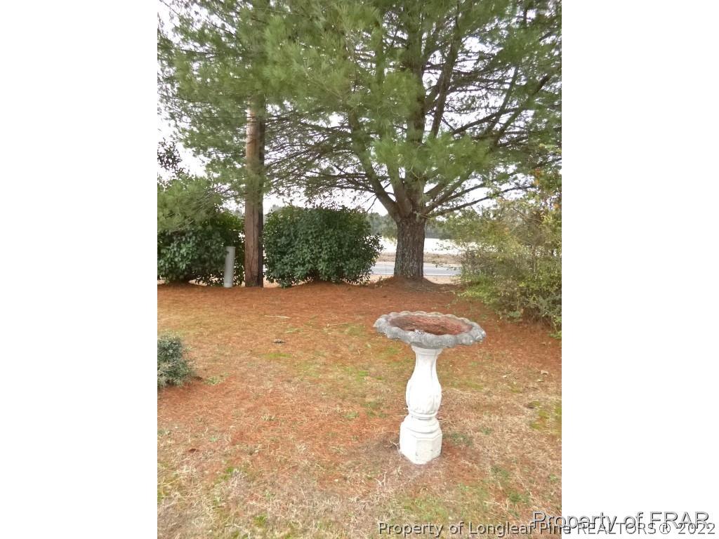 5135 Murphy Road Stedman, NC 28391 - Photo 33 of 33 a view of a yard with a tree