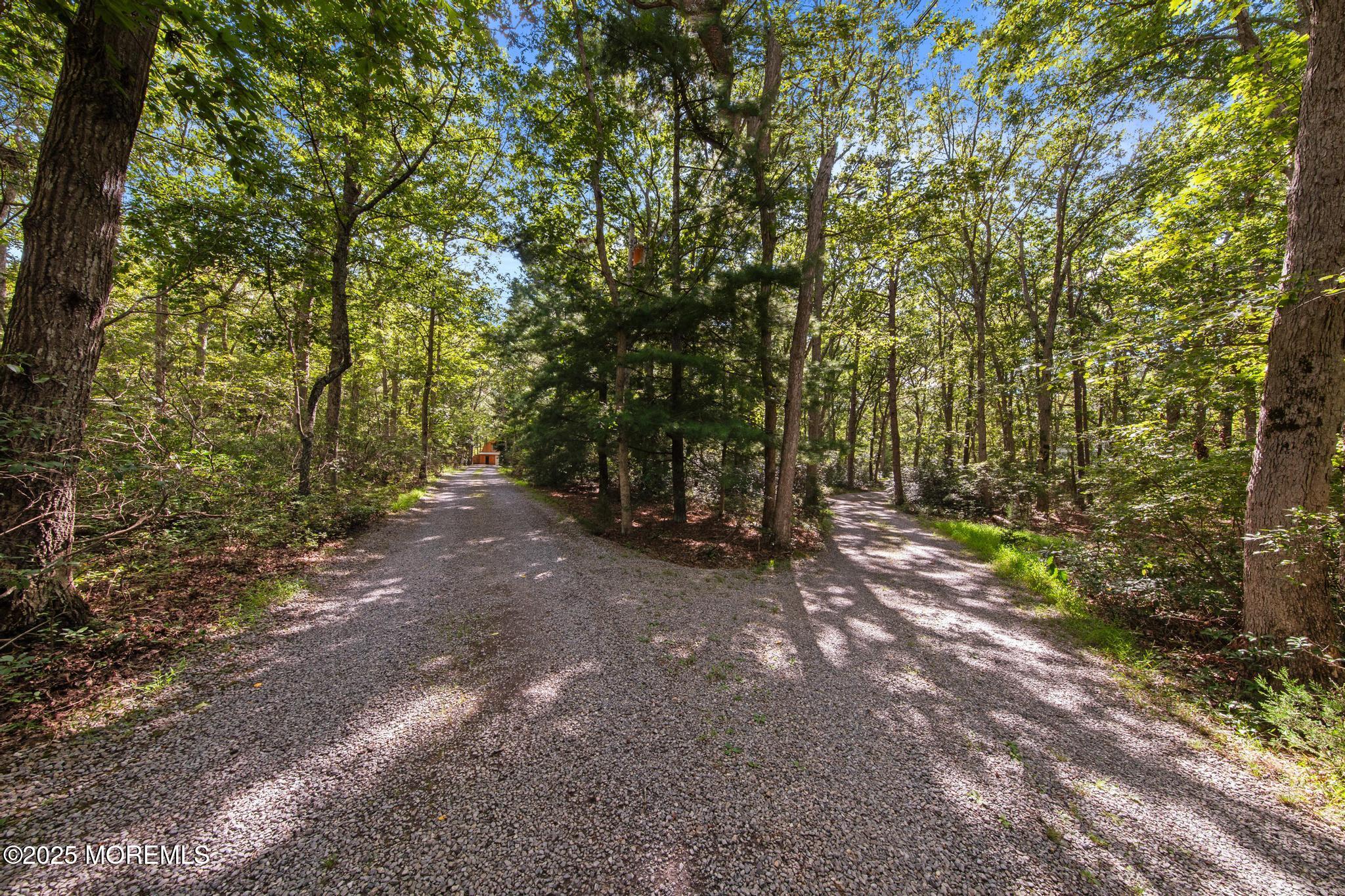 739 Nugentown Road Little Egg Harbor, NJ 08087 - Photo 71 of 80 big circular drive