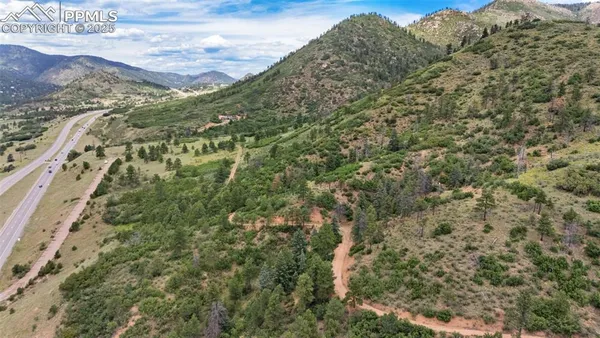 a view of a forest with an outdoor space
