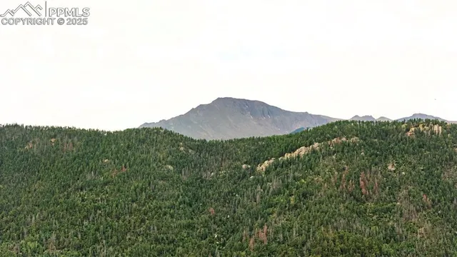 a view of a mountain in the distance in a field