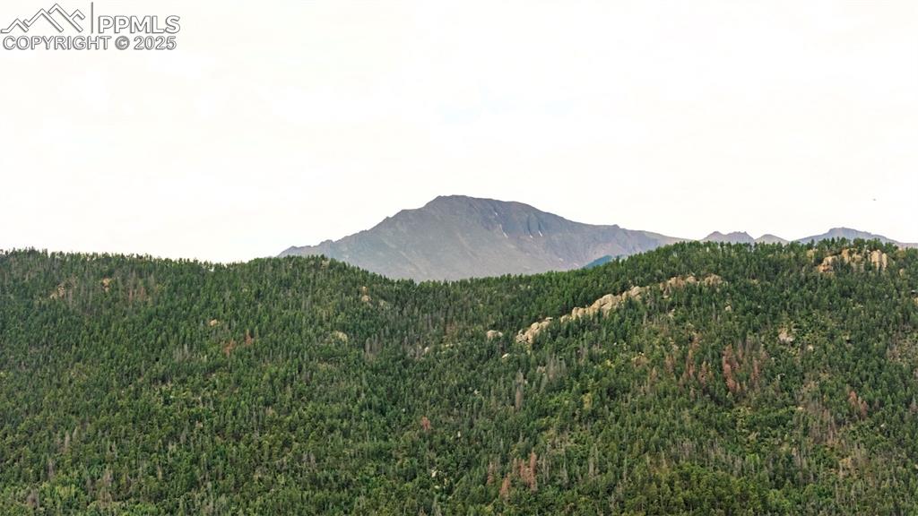 24 Highway Cascade Co 80809 Cascade, CO 80809 - Photo 6 of 6 a view of a mountain in the distance in a field