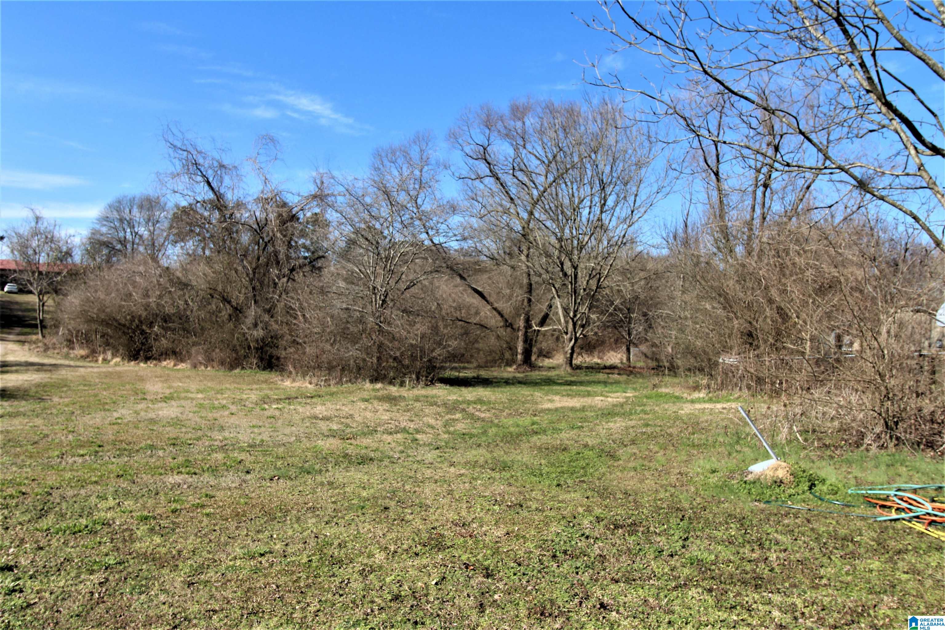 4108 Pine Mountain Road Remlap, AL 35133 - Photo 25 of 30