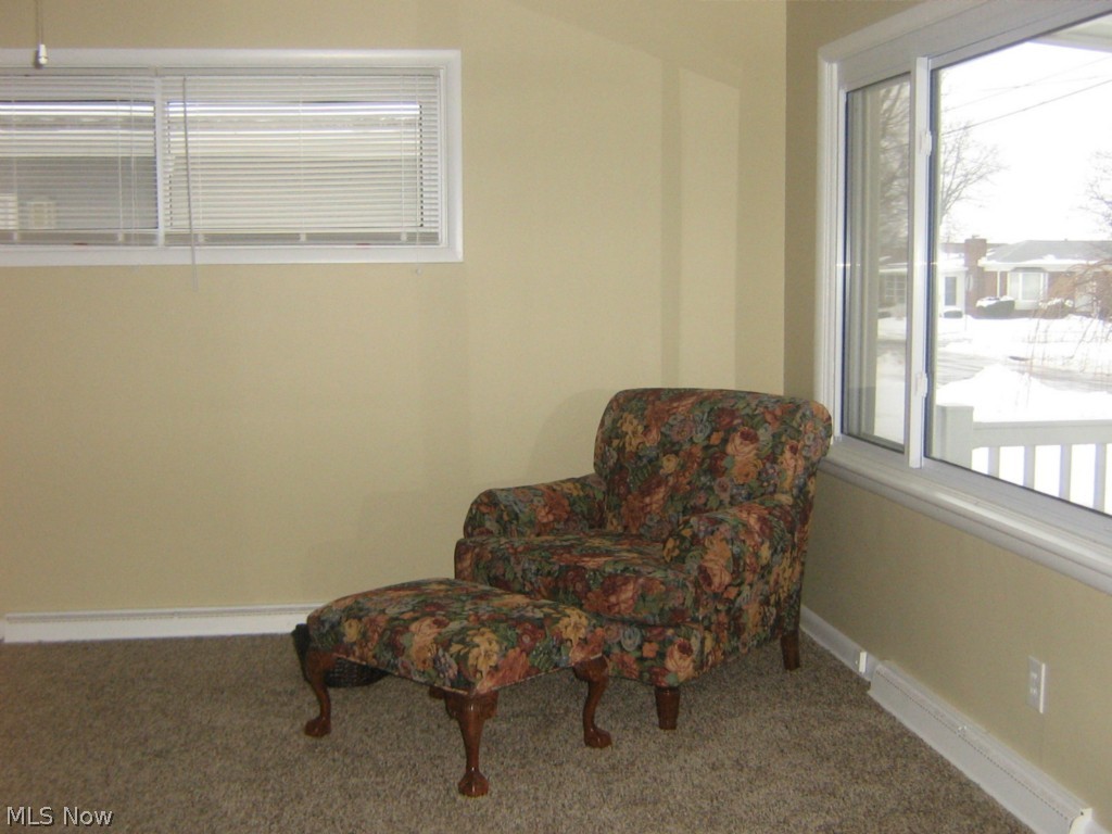 493 Stephens Road Akron, OH 44312 - Photo 9 of 22