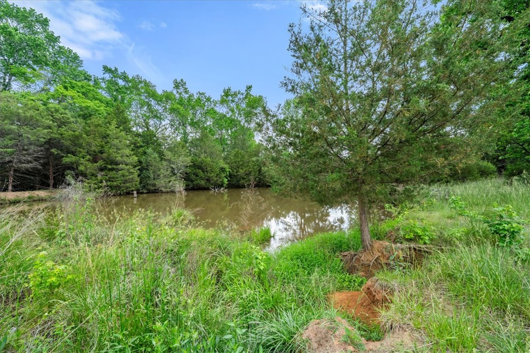 0 Highway 81 South Iva, SC 29655 - Photo 21 of 44