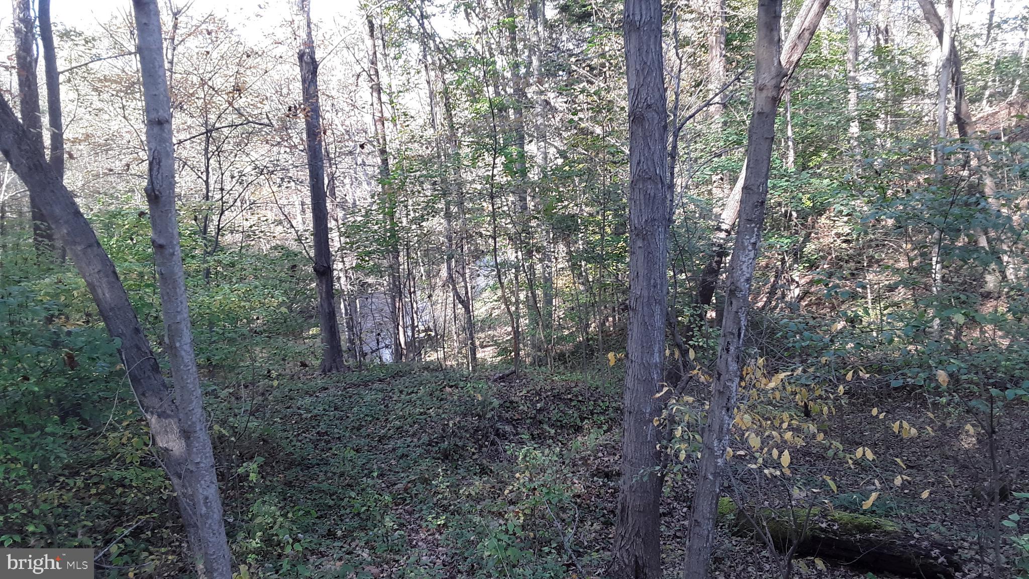 77 Hope Crossing Road Belvidere, NJ 07823 - Photo 44 of 44 Gallery Image 44