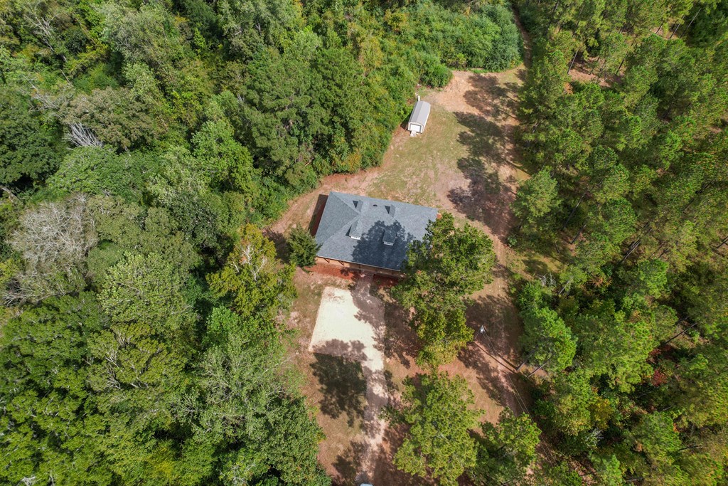 1289 Bruner Pond Road Ashford, AL 36312 - Photo 12 of 65