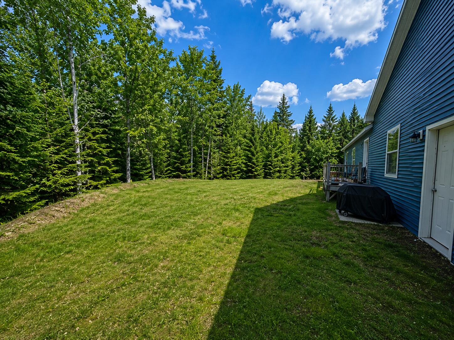 780 East Side Road Addison, ME 04606 - Photo 6 of 47