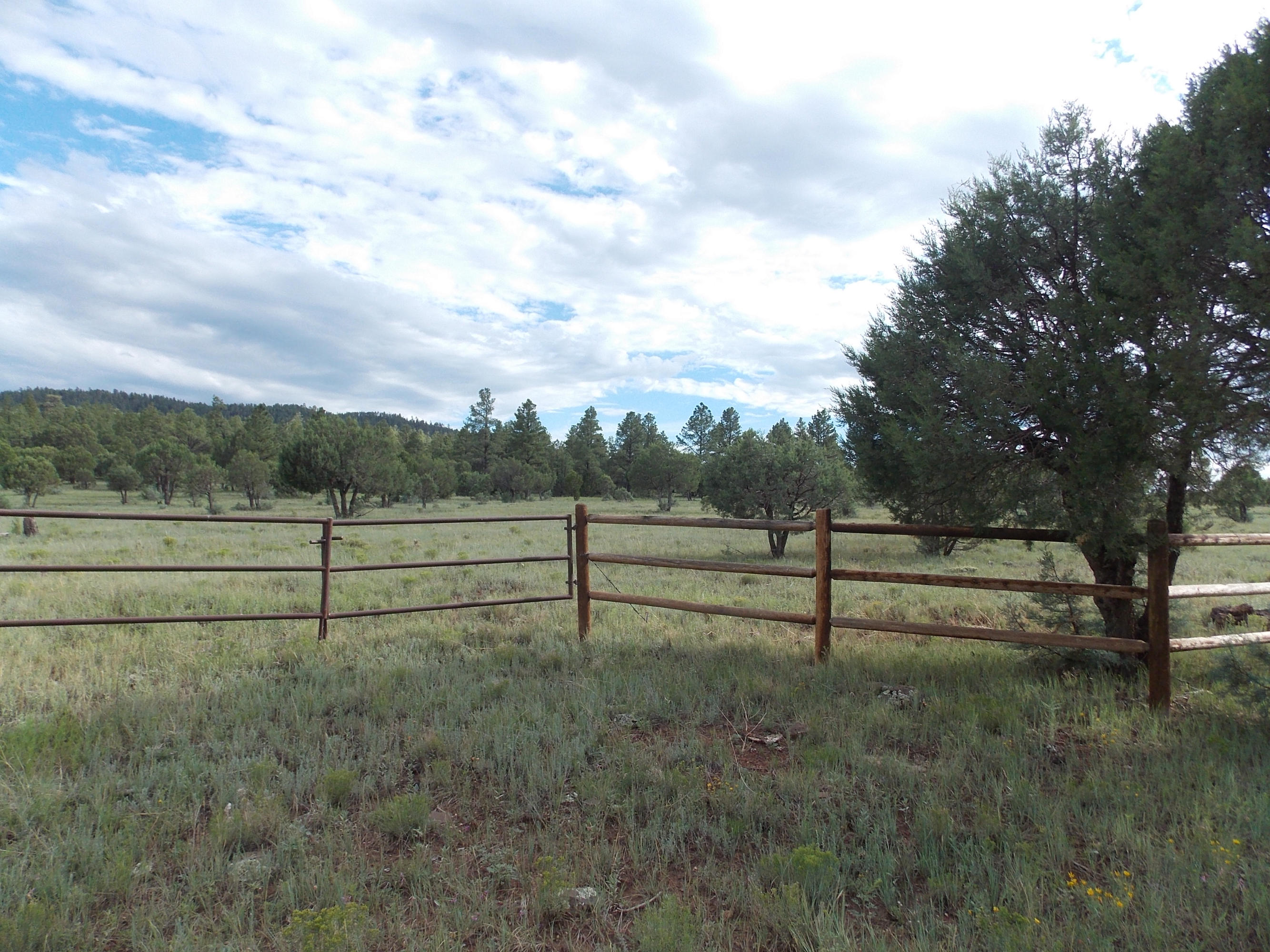 6 Porter Mountain Road Snowflake, AZ 85937 - Photo 3 of 7