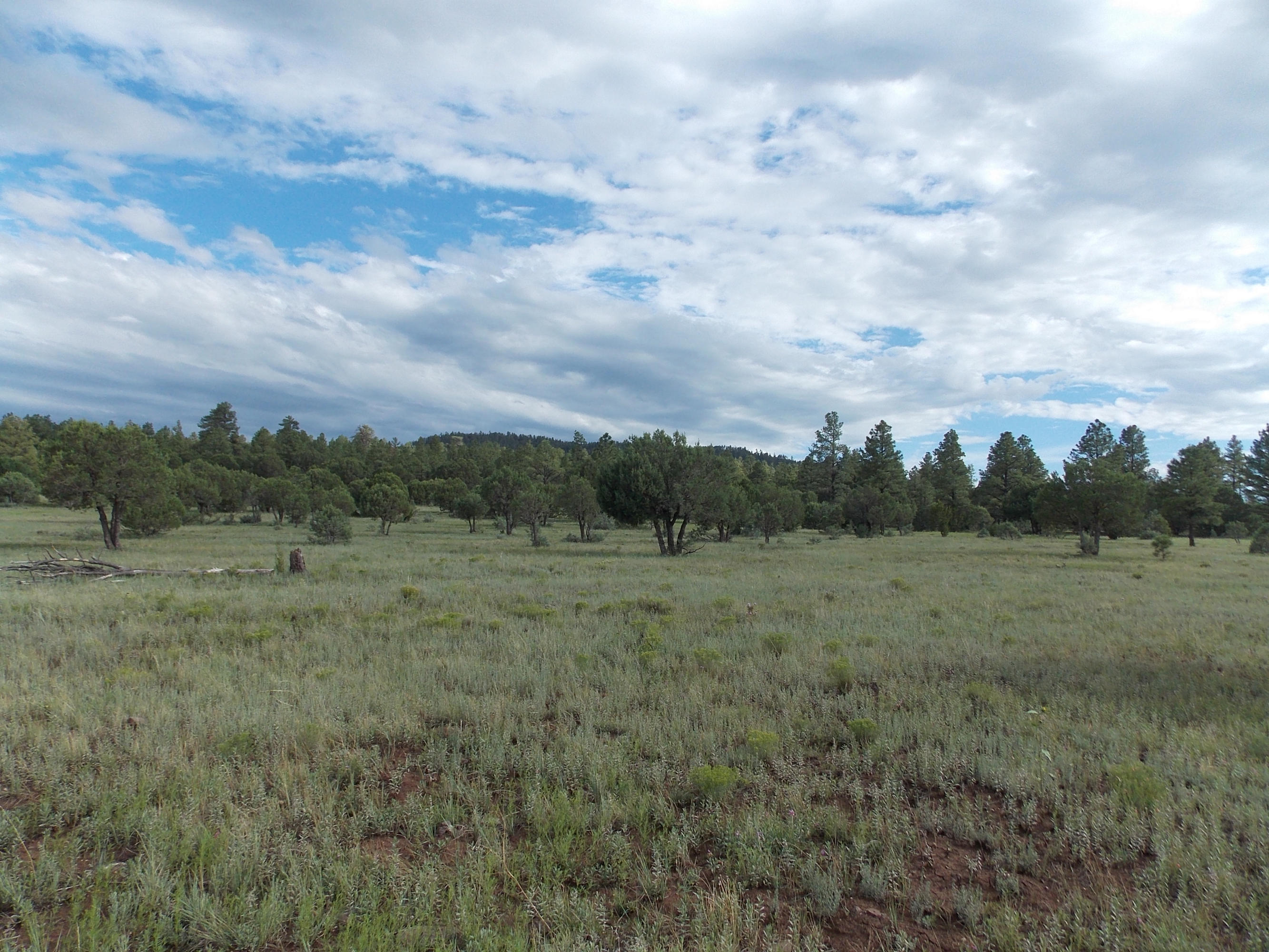 6 Porter Mountain Road Snowflake, AZ 85937 - Photo 4 of 7