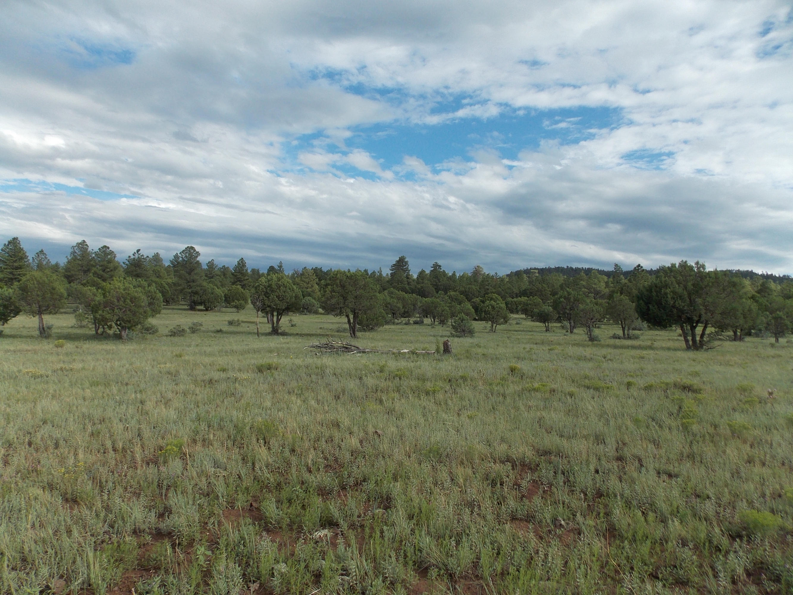6 Porter Mountain Road Snowflake, AZ 85937 - Photo 5 of 7