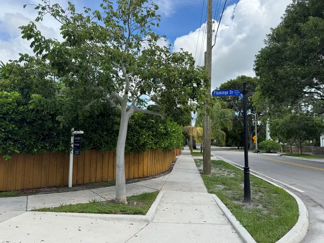 a view of a park with large trees