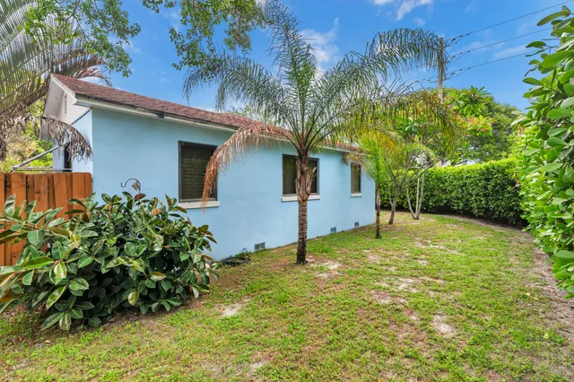 a backyard of a house with plants and large tree