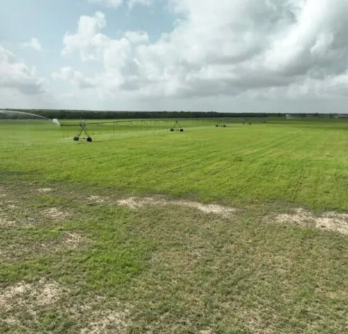 $450,000 | 7103 Peck Bush Road, Moore, TX 78057