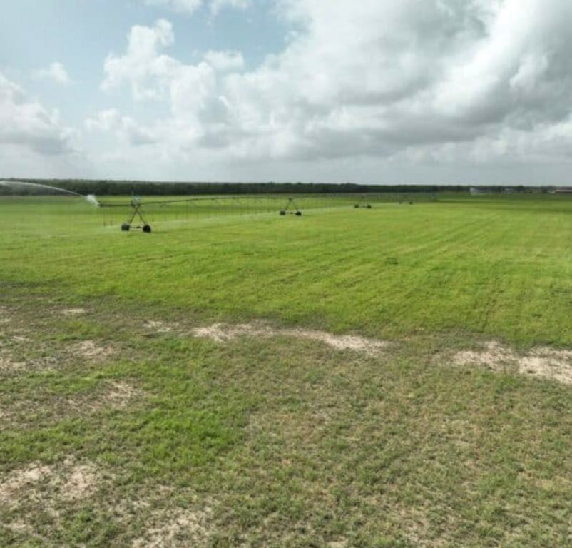 7103 Peck Bush Road Moore, TX 78057 - Photo 11 of 13 a view of an ocean