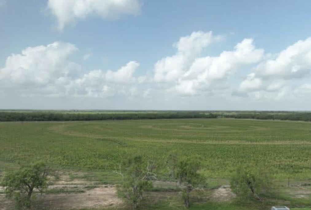 7103 Peck Bush Road Moore, TX 78057 - Photo 13 of 13 a view of an ocean