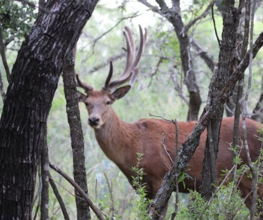 7103 Peck Bush Road Moore, TX 78057 - Photo 6 of 13