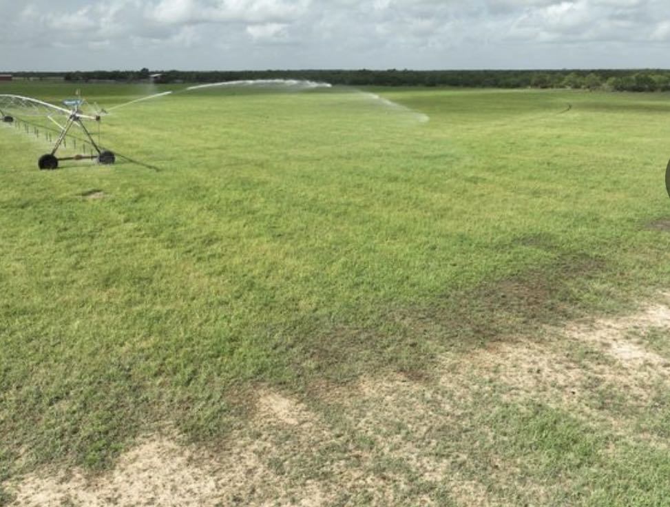 7103 Peck Bush Road Moore, TX 78057 - Photo 10 of 13 a view of an ocean view
