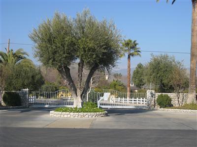 Angus Loop Extension Springville, CA 93265 - Photo 4 of 26 Main entrance