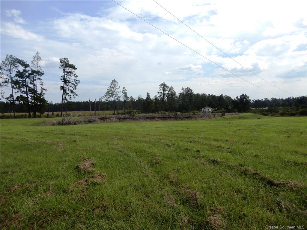 1384 Baldwin Loop Longville, LA 70652 - Photo 29 of 33 Gallery Image 29