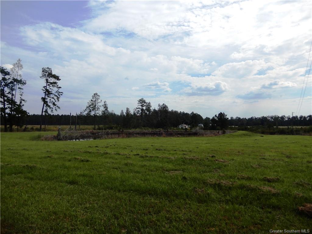 1384 Baldwin Loop Longville, LA 70652 - Photo 31 of 33 Gallery Image 31