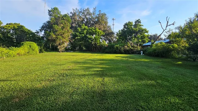 a view of a big yard with plants and large trees