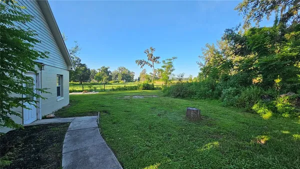a view of a park with large trees
