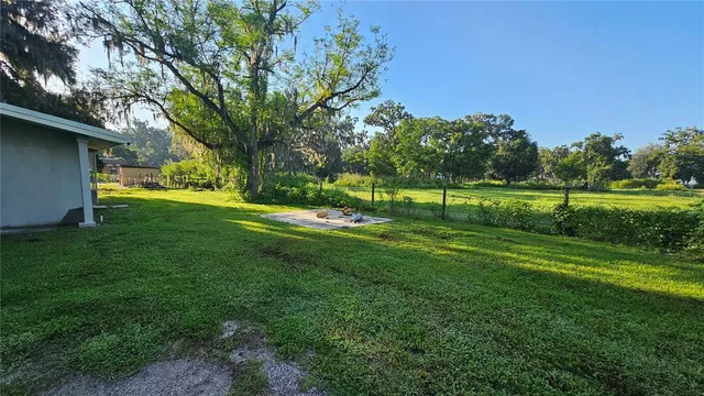 a view of a park with large trees