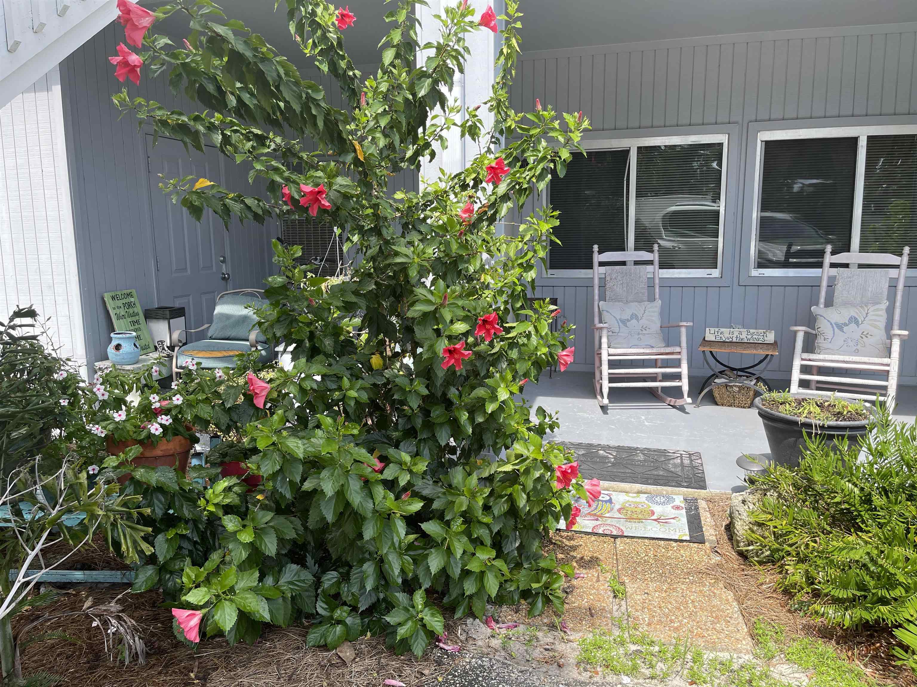 11-a-4 Mashes Sands Road Ochlockonee Bay, FL 32346 - Photo 24 of 25 Gallery Image 24