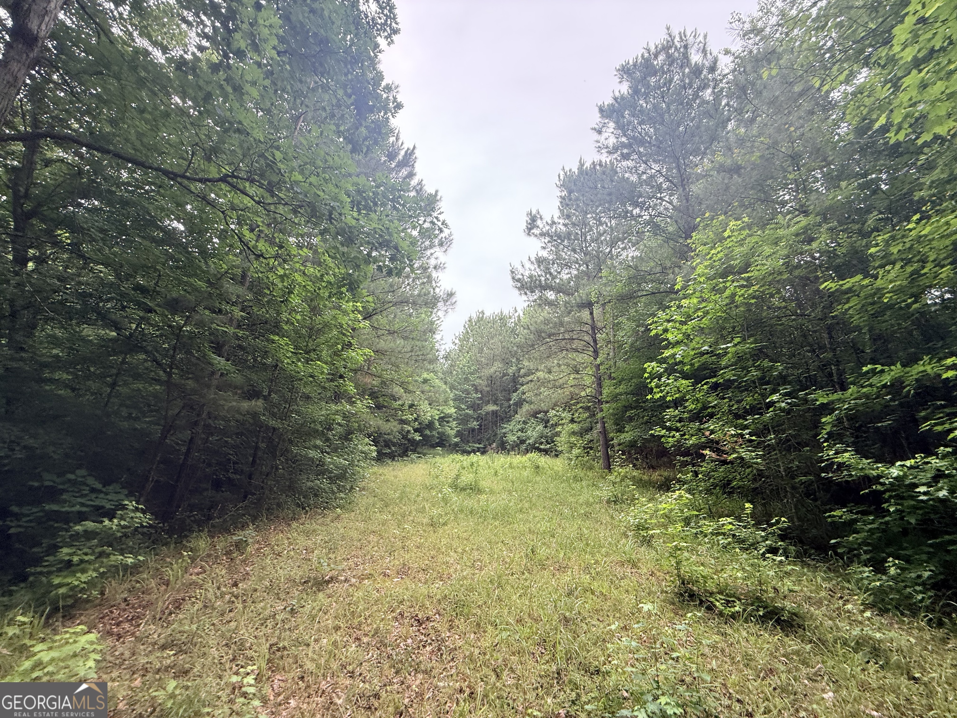 3 Bethesda Church Road Lexington, GA 30648 - Photo 23 of 60