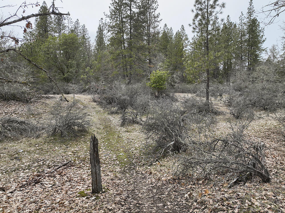 0 Queens Branch Road Rogue River, OR 97537 - Photo 25 of 36 25