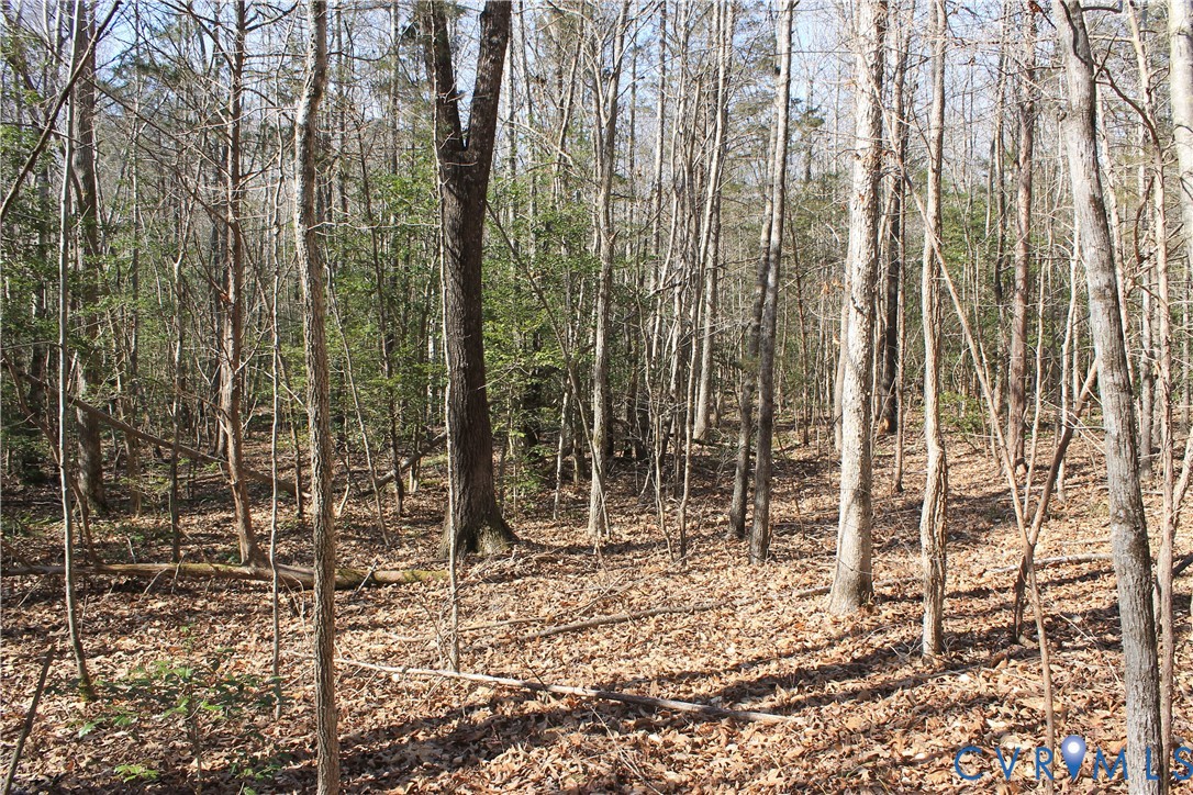 0 Watkins Forest Road Chase City, VA 23924 - Photo 11 of 58