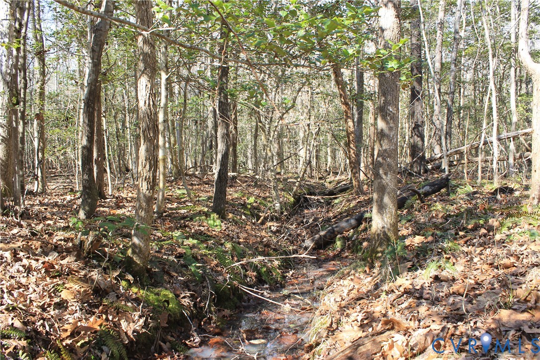 0 Watkins Forest Road Chase City, VA 23924 - Photo 12 of 58 a view of yard