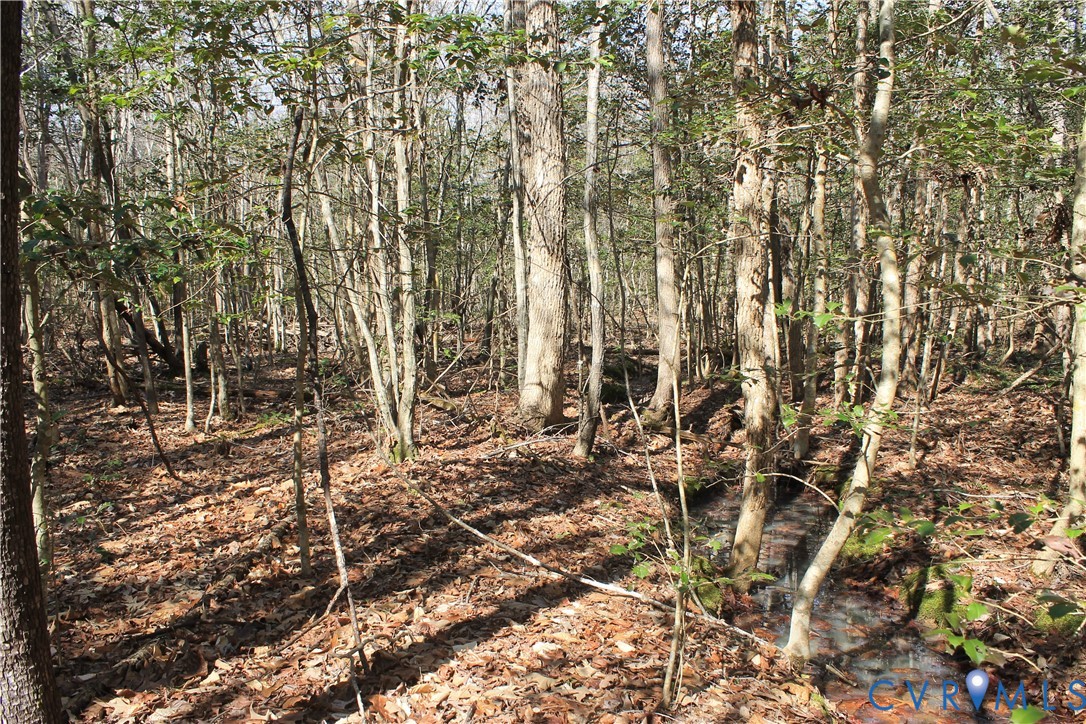 0 Watkins Forest Road Chase City, VA 23924 - Photo 14 of 58 a view of outdoor space