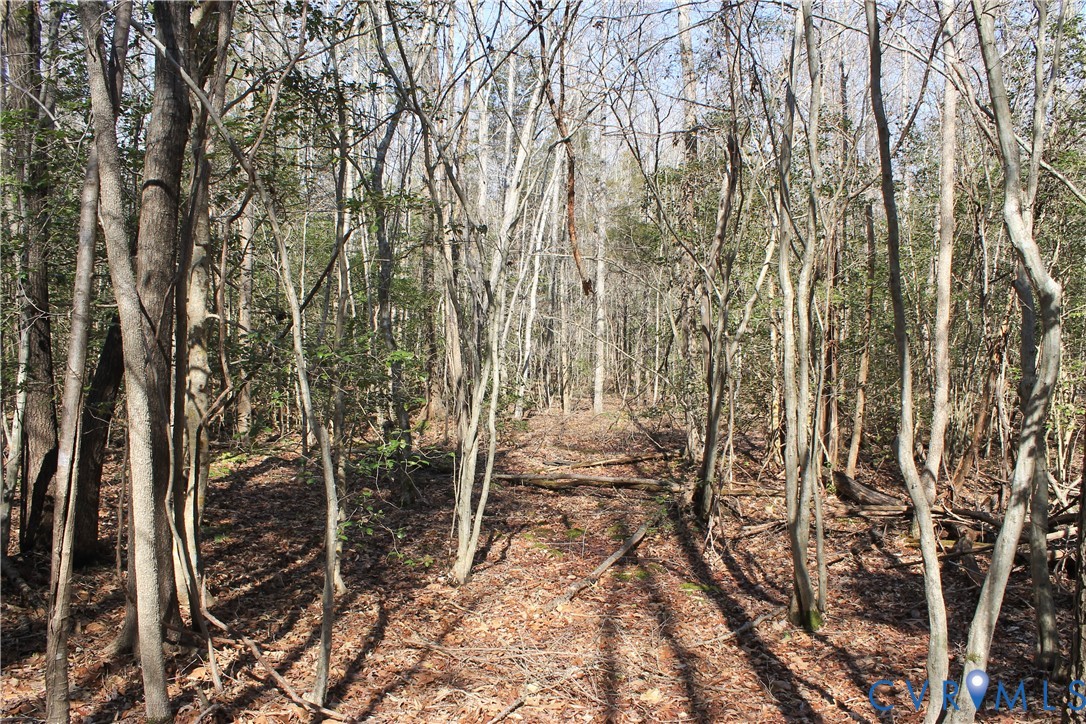 0 Watkins Forest Road Chase City, VA 23924 - Photo 15 of 58