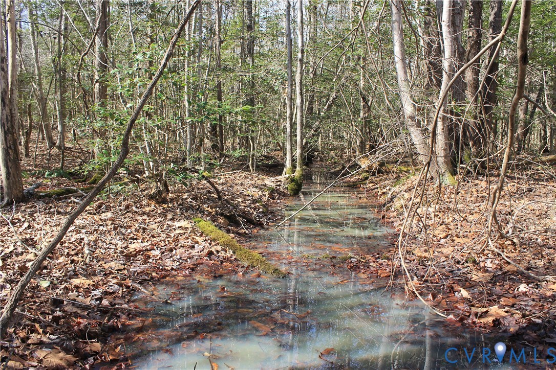 0 Watkins Forest Road Chase City, VA 23924 - Photo 16 of 58 a view of a yard with plants and large trees