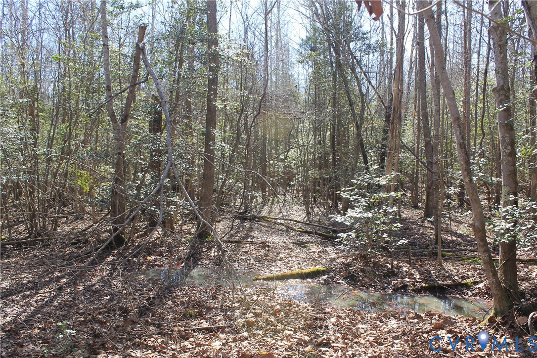 0 Watkins Forest Road Chase City, VA 23924 - Photo 17 of 58 a view of a yard with lots of bushes