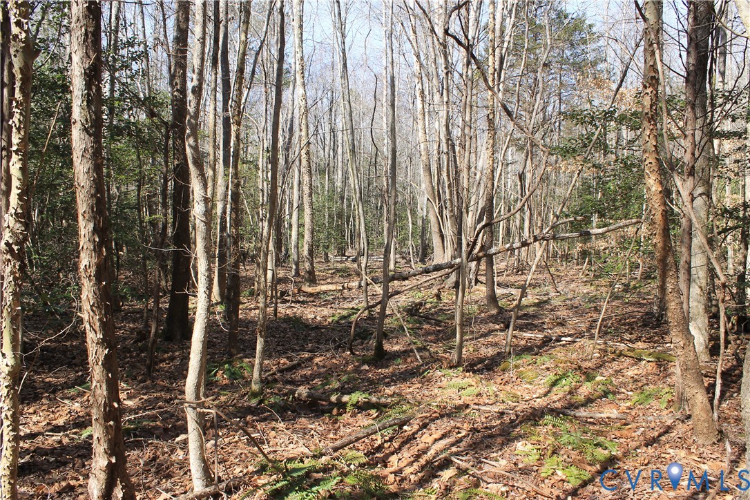 0 Watkins Forest Road Chase City, VA 23924 - Photo 21 of 58 a view of a backyard