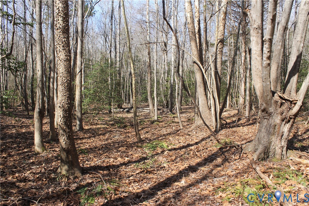 0 Watkins Forest Road Chase City, VA 23924 - Photo 22 of 58 a backyard of a house with lots of green space