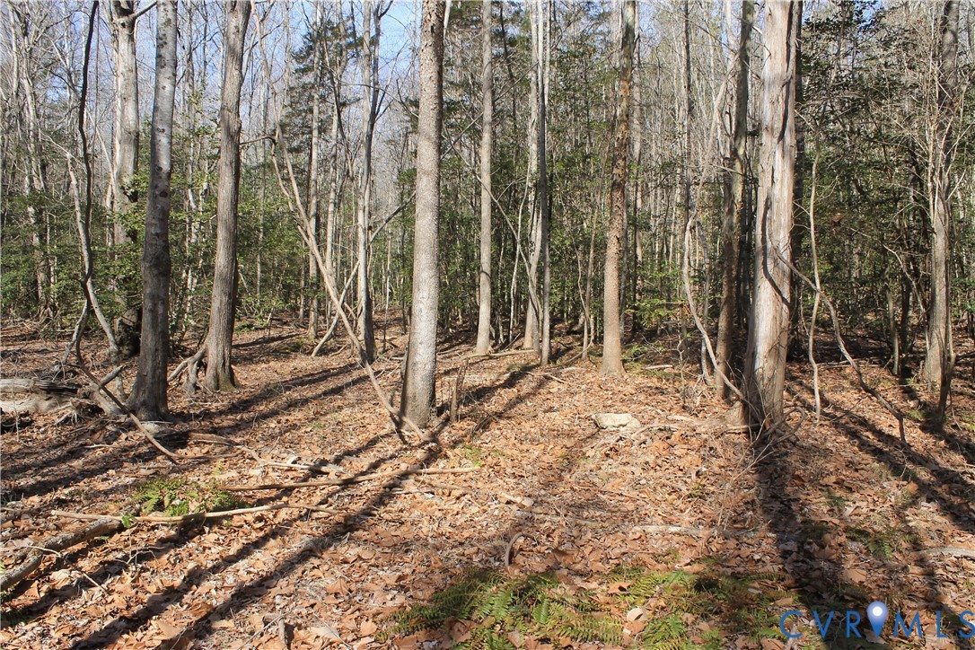 0 Watkins Forest Road Chase City, VA 23924 - Photo 24 of 58 a backyard of a house with lots of green space