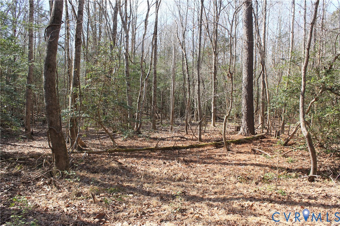 0 Watkins Forest Road Chase City, VA 23924 - Photo 25 of 58 a view of a backyard with trees