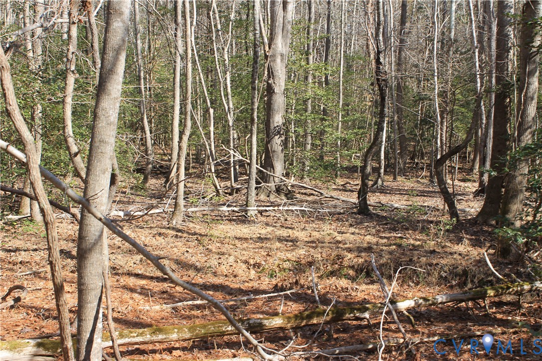 0 Watkins Forest Road Chase City, VA 23924 - Photo 28 of 58