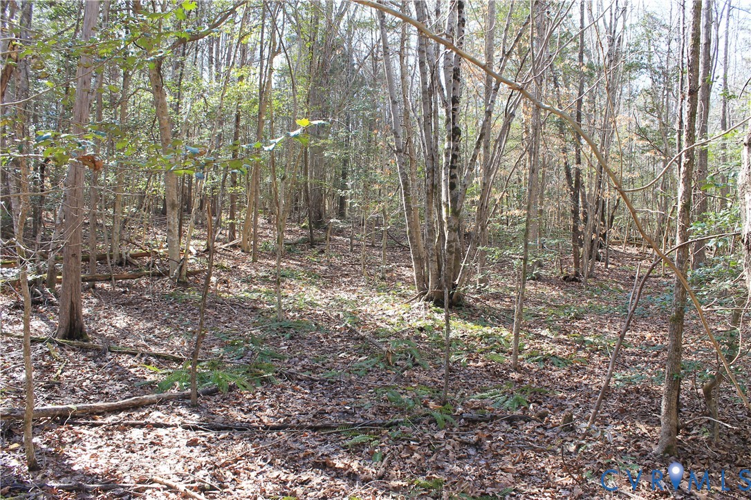 0 Watkins Forest Road Chase City, VA 23924 - Photo 29 of 58