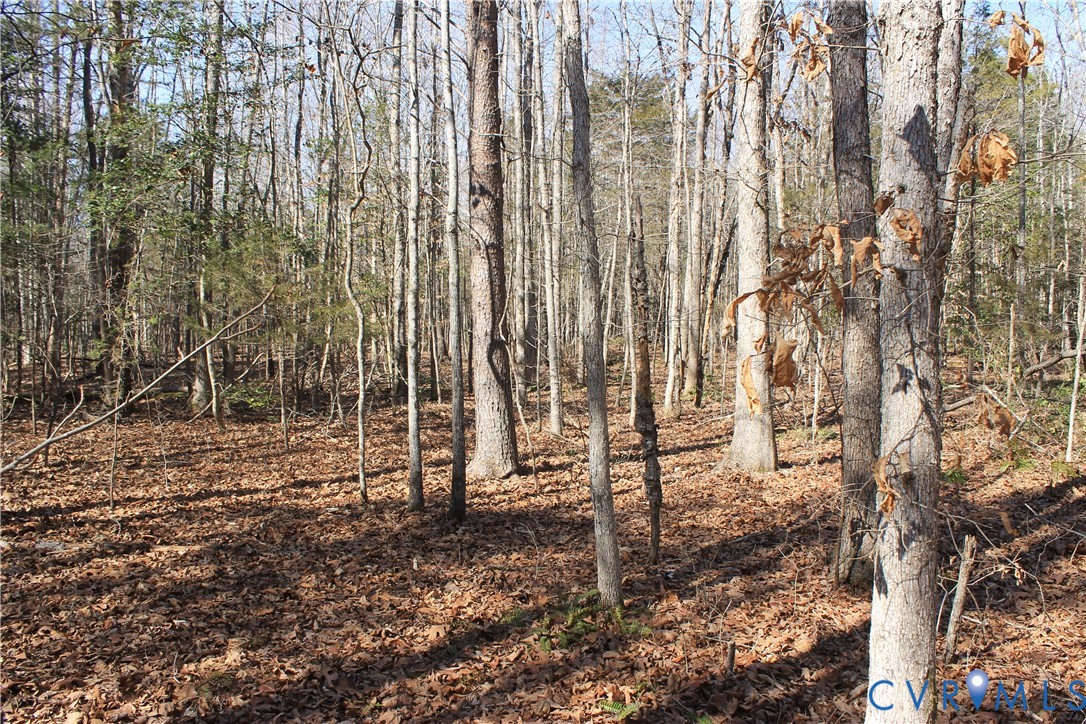 0 Watkins Forest Road Chase City, VA 23924 - Photo 3 of 58