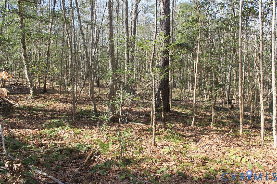 0 Watkins Forest Road Chase City, VA 23924 - Photo 32 of 58