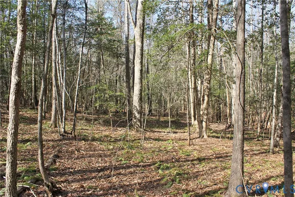 $299,995 | 0 Watkins Forest Road, Chase City, VA 23924