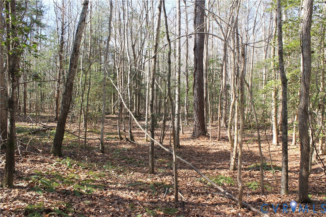 0 Watkins Forest Road Chase City, VA 23924 - Photo 34 of 58 a backyard of a house with lots of green space