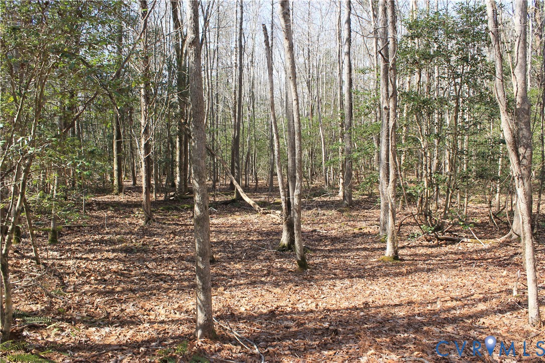 0 Watkins Forest Road Chase City, VA 23924 - Photo 35 of 58
