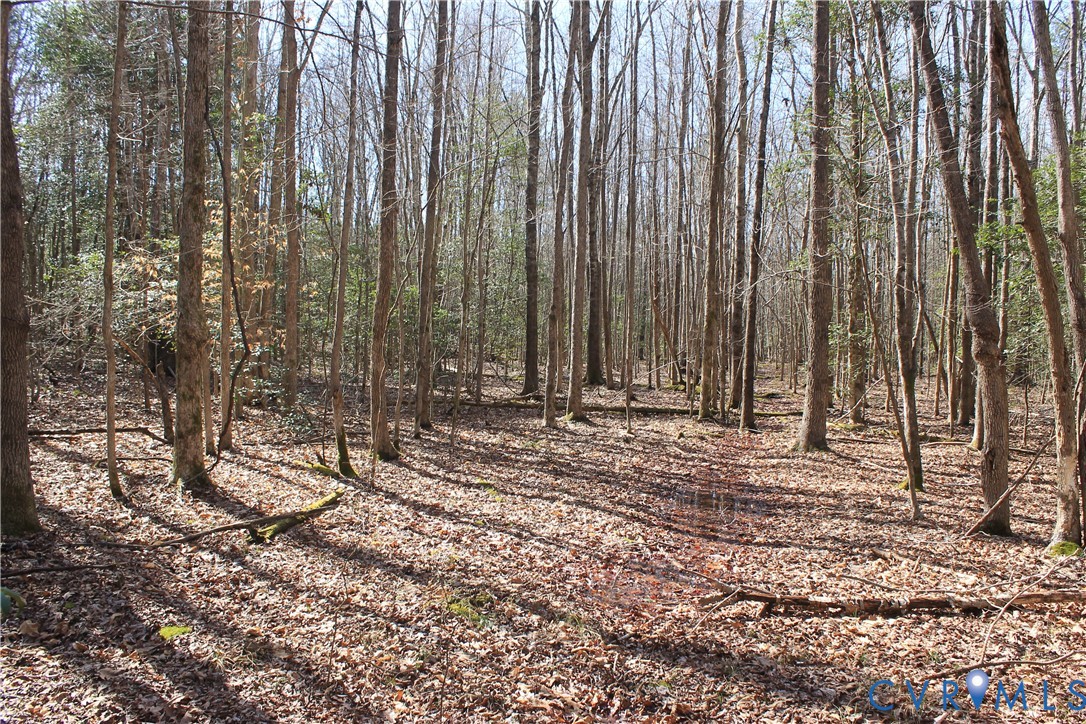 0 Watkins Forest Road Chase City, VA 23924 - Photo 37 of 58 a view of a backyard with trees